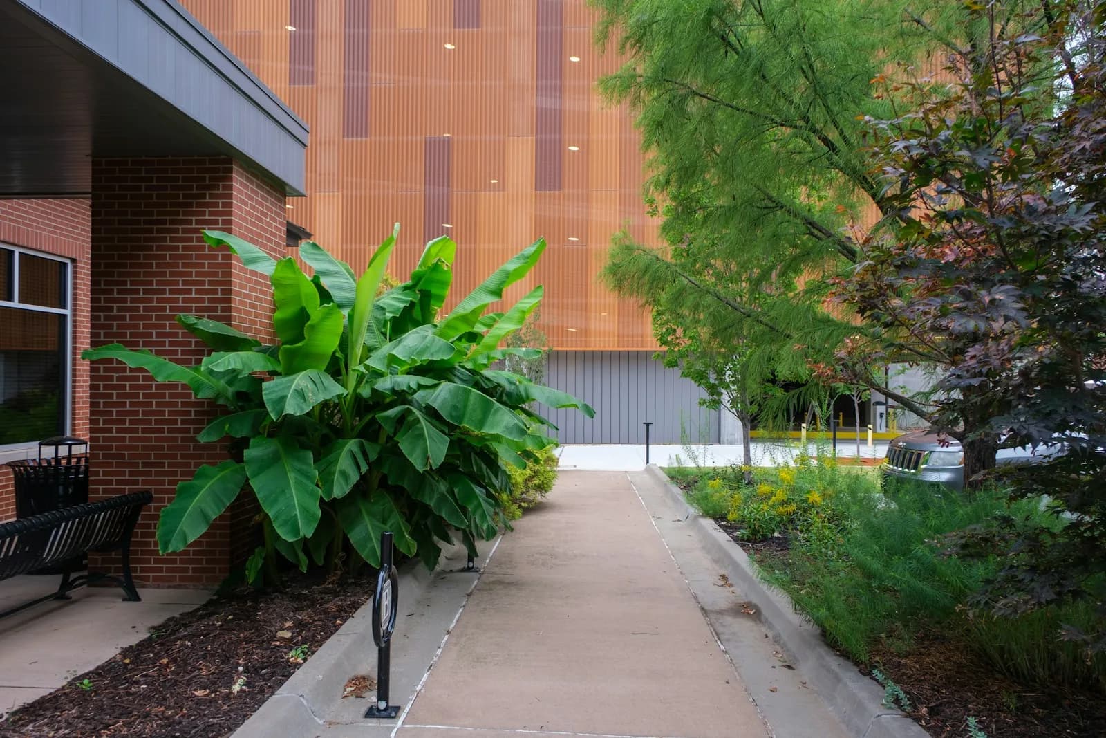 A walkway lined with plantings beside a modern building