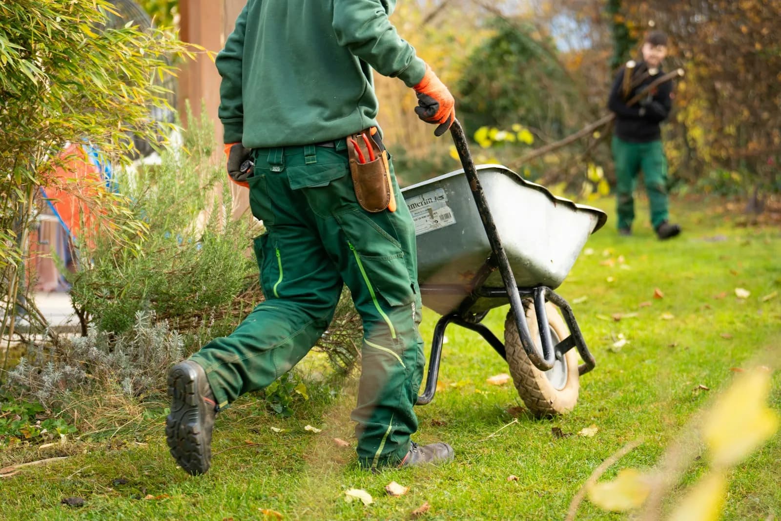 A landscaping crew member pushing a wheelbarrow across a lawn