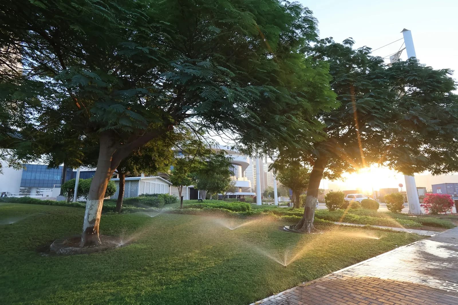 Sprinklers watering a lawn under sunlit trees beside a walkway