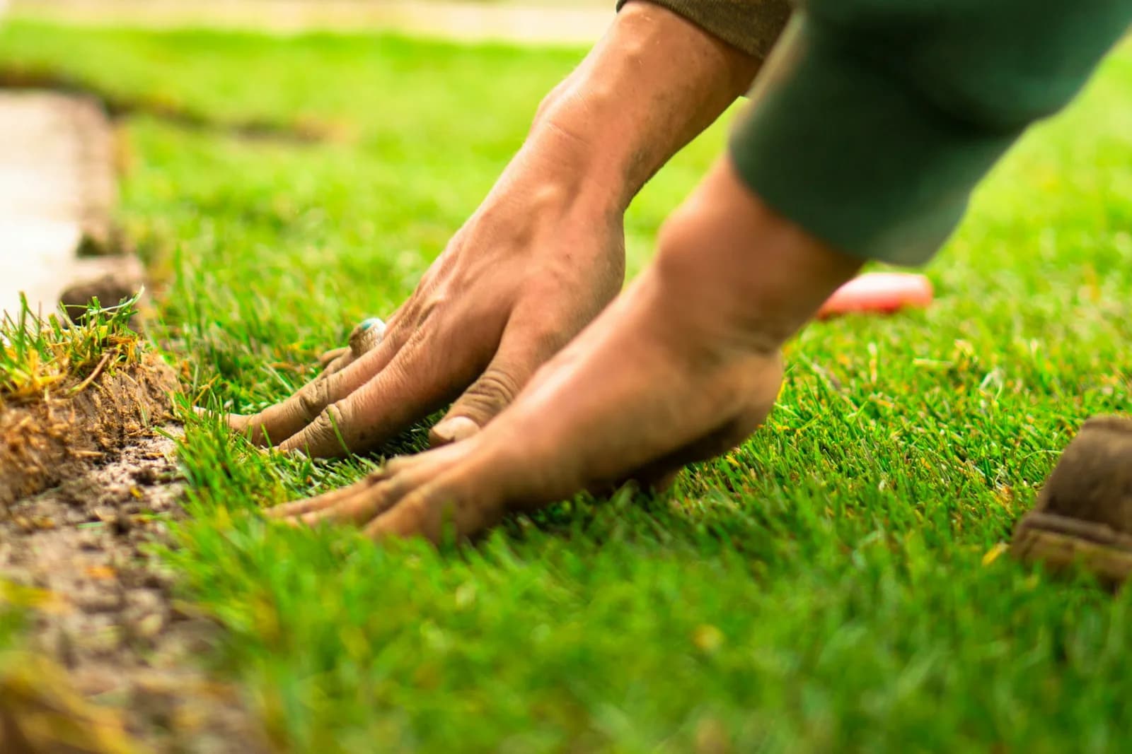 Hands pressing fresh sod into place